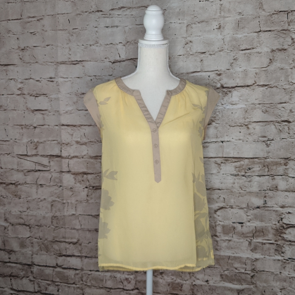 The Limited sheer blouse
